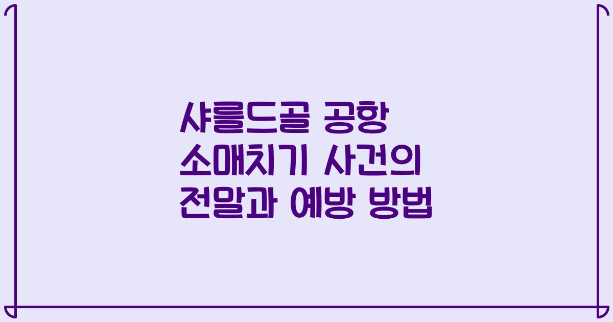 샤를드골 공항 소매치기 사건의 전말과 예방 방법