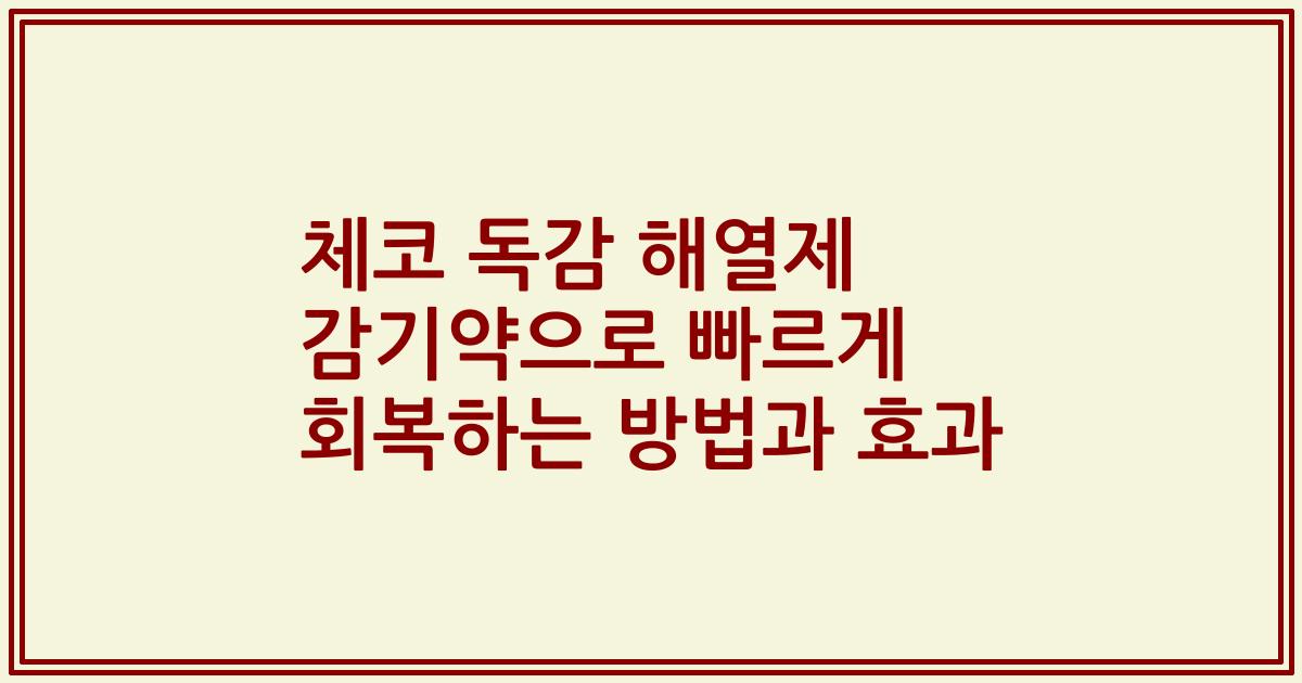 체코 독감 해열제 감기약으로 빠르게 회복하는 방법과 효과