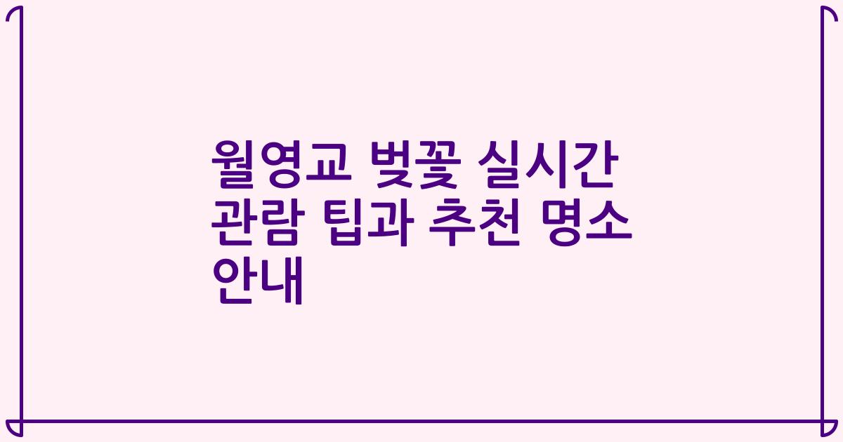 월영교 벚꽃 실시간 관람 팁과 추천 명소 안내