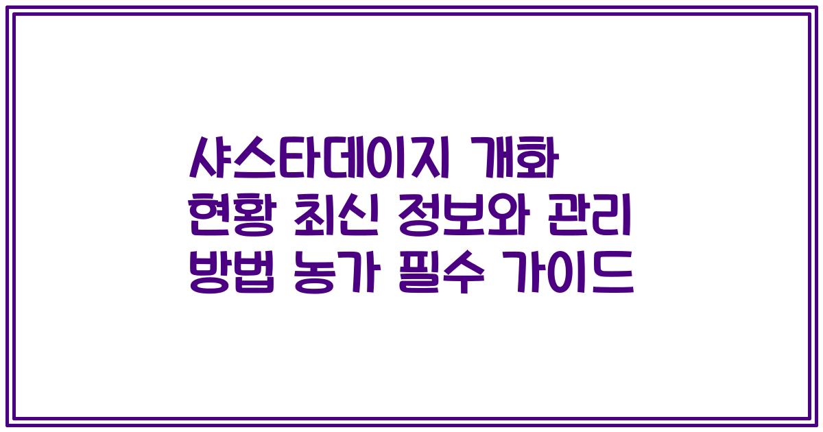 샤스타데이지 개화 현황 최신 정보와 관리 방법 농가 필수 가이드