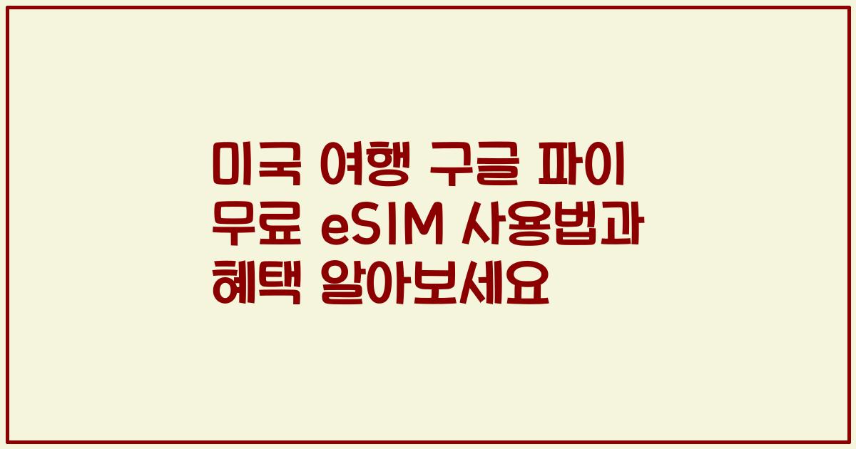 미국 여행 구글 파이 무료 eSIM 사용법과 혜택 알아보세요